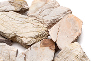 Sand Stone Hardscape - Buce Plant