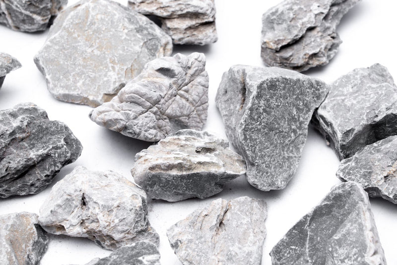 Seiryu Accent Stones Stone - Buce Plant