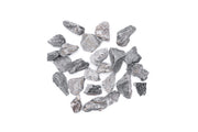 Seiryu Accent Stones Stone - Buce Plant