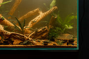 SL AQUA Black MORE Dark Extract for Shrimp water conditioner, showing the dark liquid concentrate in a clear bottle.