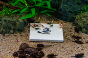 SL AQUA SL-Aqua NDM water conditioner in a sleek container, designed for aquarium water treatment and filtration.