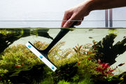 SL-Aqua SAS Algae Scraper Accessories - Buce Plant