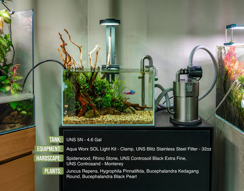 UNS Controsand - Monterey Substrate - Buce Plant