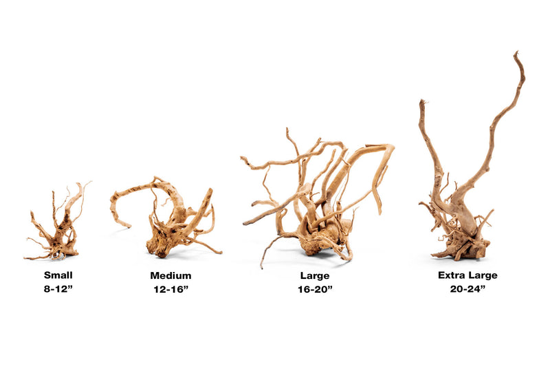 Spiderwood Driftwood - Buce Plant