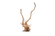 Natural spiderwood driftwood piece with twisted, textured branches, ideal for aquarium or decorative displays.