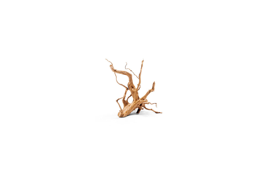 Natural driftwood piece, Spiderwood by UNSHARDSCAPE, showcasing twisted, textured wood suitable for aquariums and terrariums.