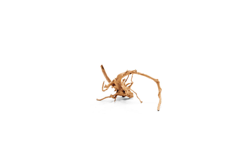 Natural spiderwood driftwood piece with twisted, intricate branches, ideal for aquatic or decorative use by UNSHARDSCAPE.