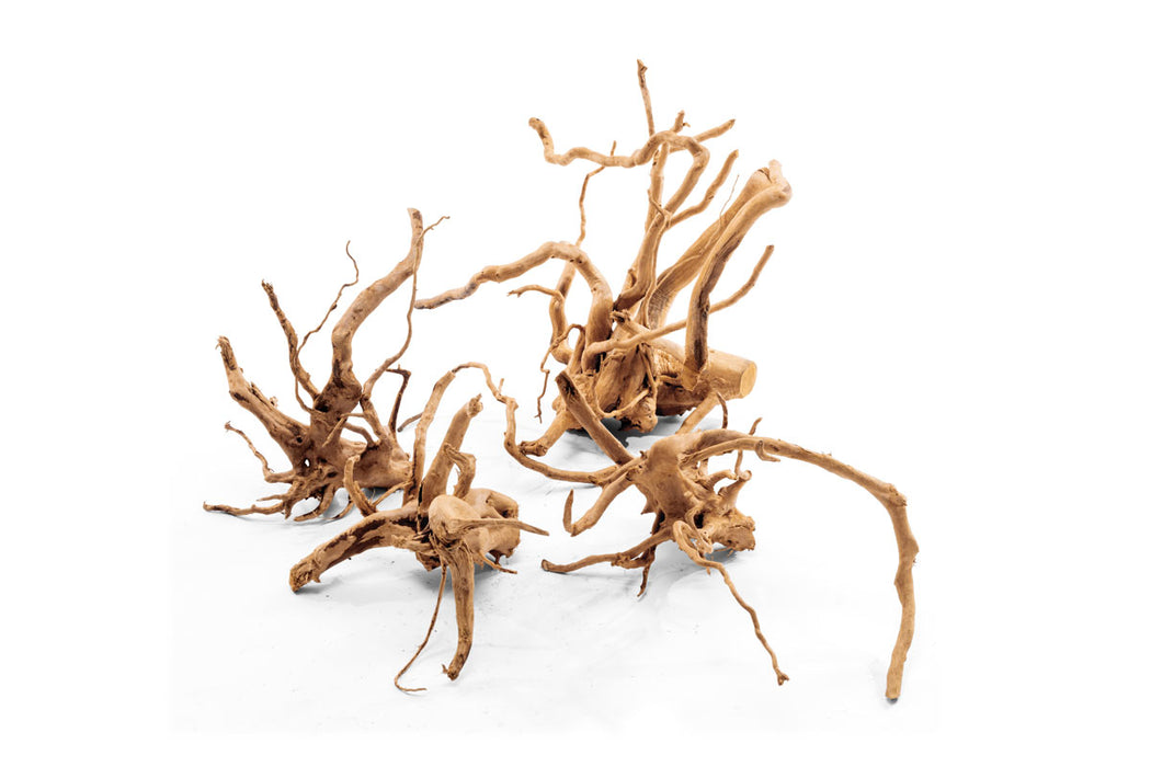 Natural spiderwood driftwood piece with twisted branches, used for aquariums and terrariums, by UNSHARDSCAPE.