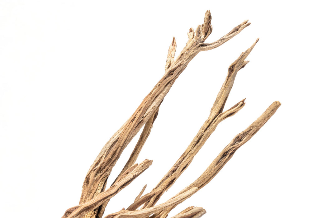 Natural star-shaped driftwood piece from UNSHARDSCAPE, showcasing its unique grain and weathered texture.