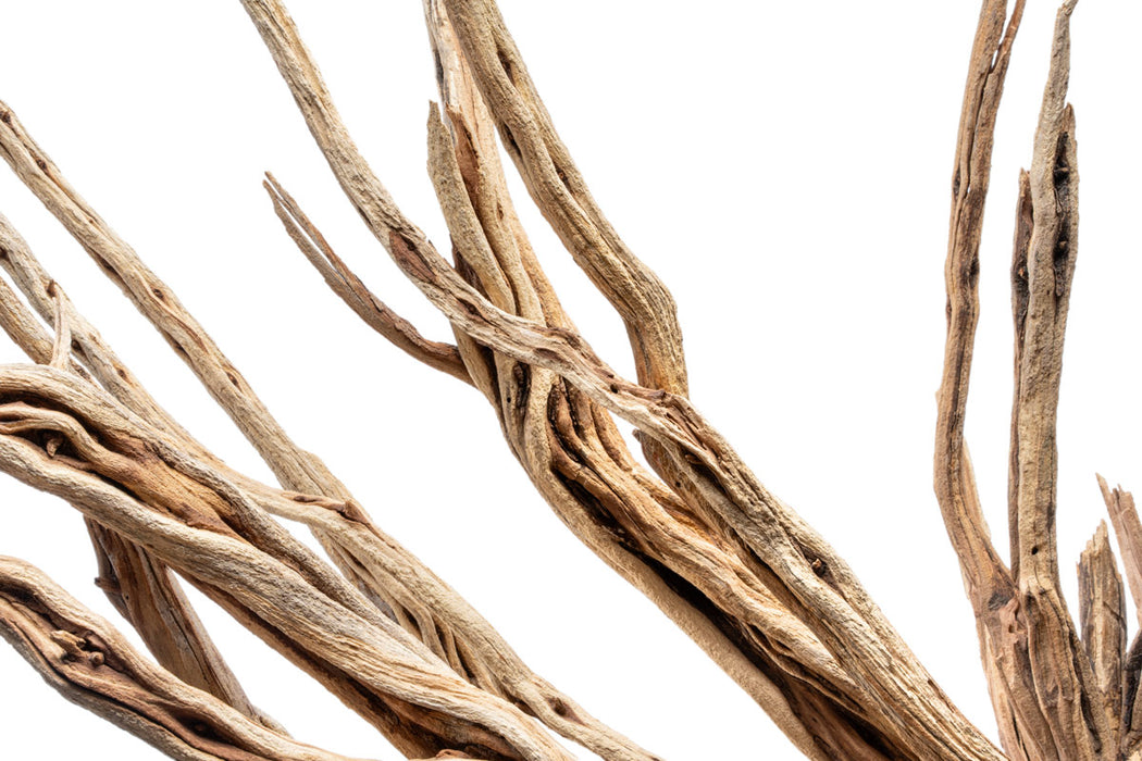 Natural star-shaped driftwood piece from UNSHARDSCAPE, showcasing its unique grain and weathered texture.