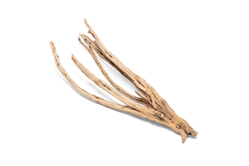 Natural star-shaped driftwood piece from UNSHARDSCAPE, showcasing its unique grain and organic texture on a neutral background.