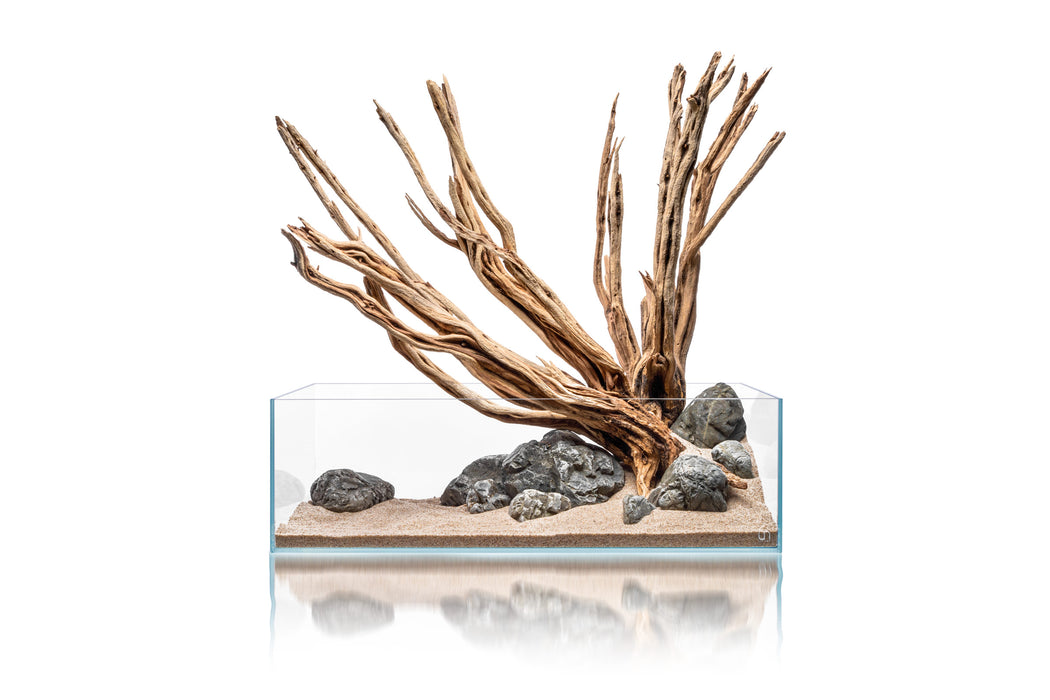Natural star-shaped driftwood piece from UNSHARDSCAPE, showcasing its unique grain and organic form on a neutral background.