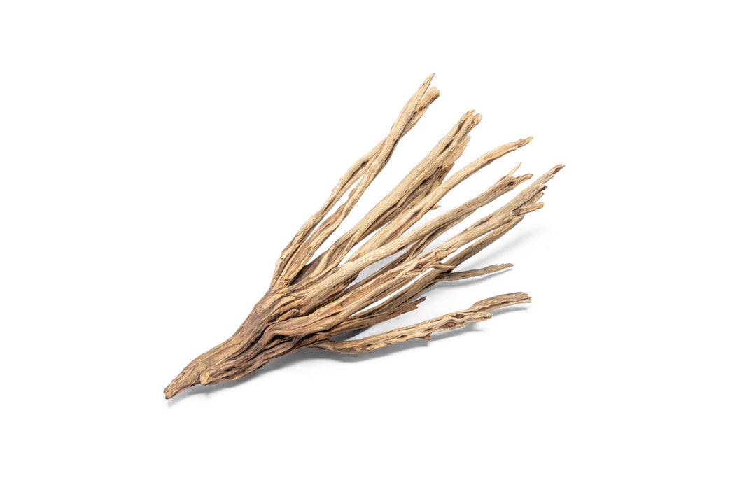 Natural star-shaped driftwood piece from UNSHARDSCAPE, showcasing its unique grain and organic form for rustic decor or crafts.