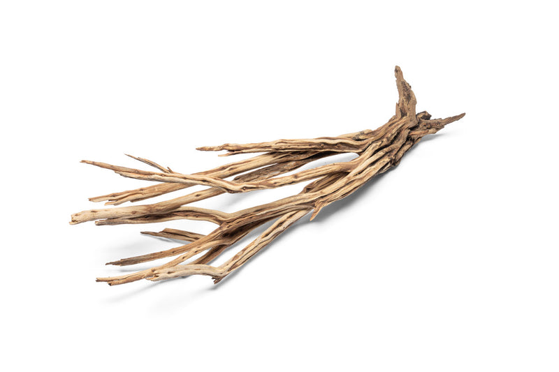 Natural star-shaped driftwood piece from UNSHARDSCAPE, showcasing its textured, weathered wood surface and star-like form.