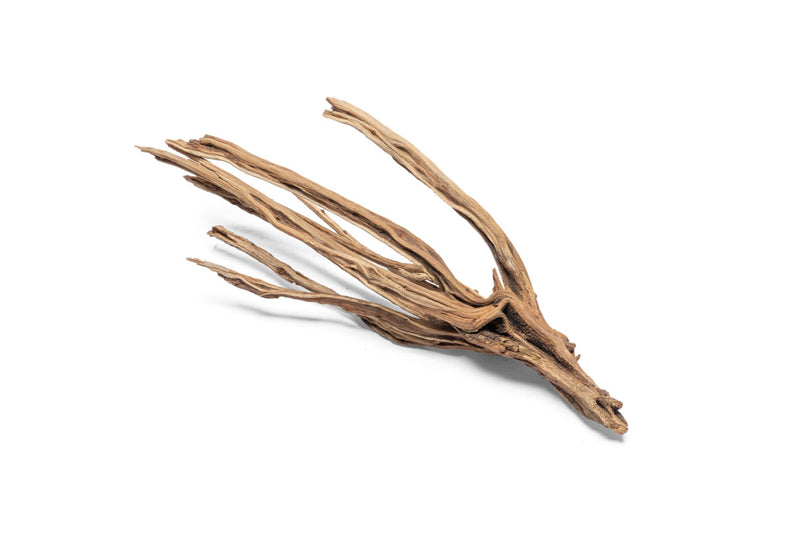 Natural star-shaped driftwood piece from UNSHARDSCAPE, showcasing its unique grain and organic form on a neutral background.