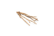 Natural star-shaped driftwood piece from UNSHARDSCAPE, showcasing its unique wooden texture and organic star form.