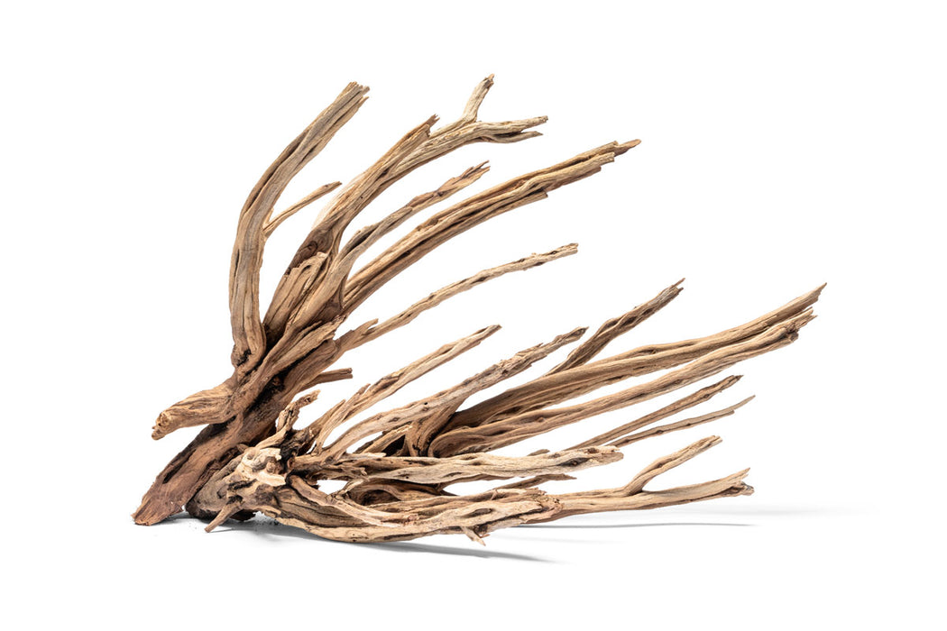 Natural star-shaped driftwood piece from UNSHARDSCAPE, showcasing its unique grain and organic shape on a neutral background.