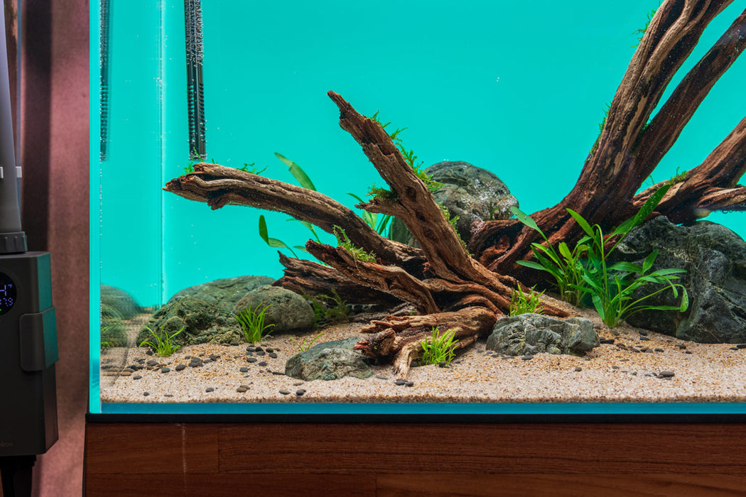 26 gallon fish tank accessories Midwest Tropical 680 Streched Octagon Coffee Table Aquarium Resting on a black acrylic pedestal Star Wood Aquarium Hardscape -