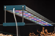Twinstar LED - C Line Vr. III  - Aquarium Light Fixture Lighting - Buce Plant