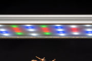 Twinstar LED - C Line Vr. III  - Aquarium Light Fixture Lighting - Buce Plant