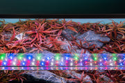 Twinstar LED E Series VR IV aquarium light fixture with adjustable brightness and sleek design for aquatic environments.