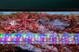 Twinstar LED - E Series Vr. IV Aquarium Light Fixture
