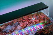 Twinstar LED E Series Vr. IV aquarium light fixture with adjustable LED lighting for reef and freshwater aquariums.