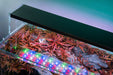 Twinstar LED - E Series Vr. IV Aquarium Light Fixture