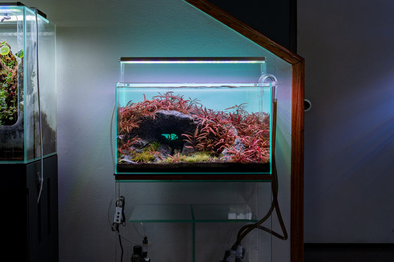 Twinstar LED E Series VR IV aquarium light fixture providing bright, energy-efficient lighting for reef tanks and aquatic environments.
