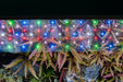 Twinstar LED - E Series Vr. IV Aquarium Light Fixture