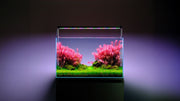 Twinstar LED - S Series Vr. V Aquarium Light Fixture Lighting - Buce Plant