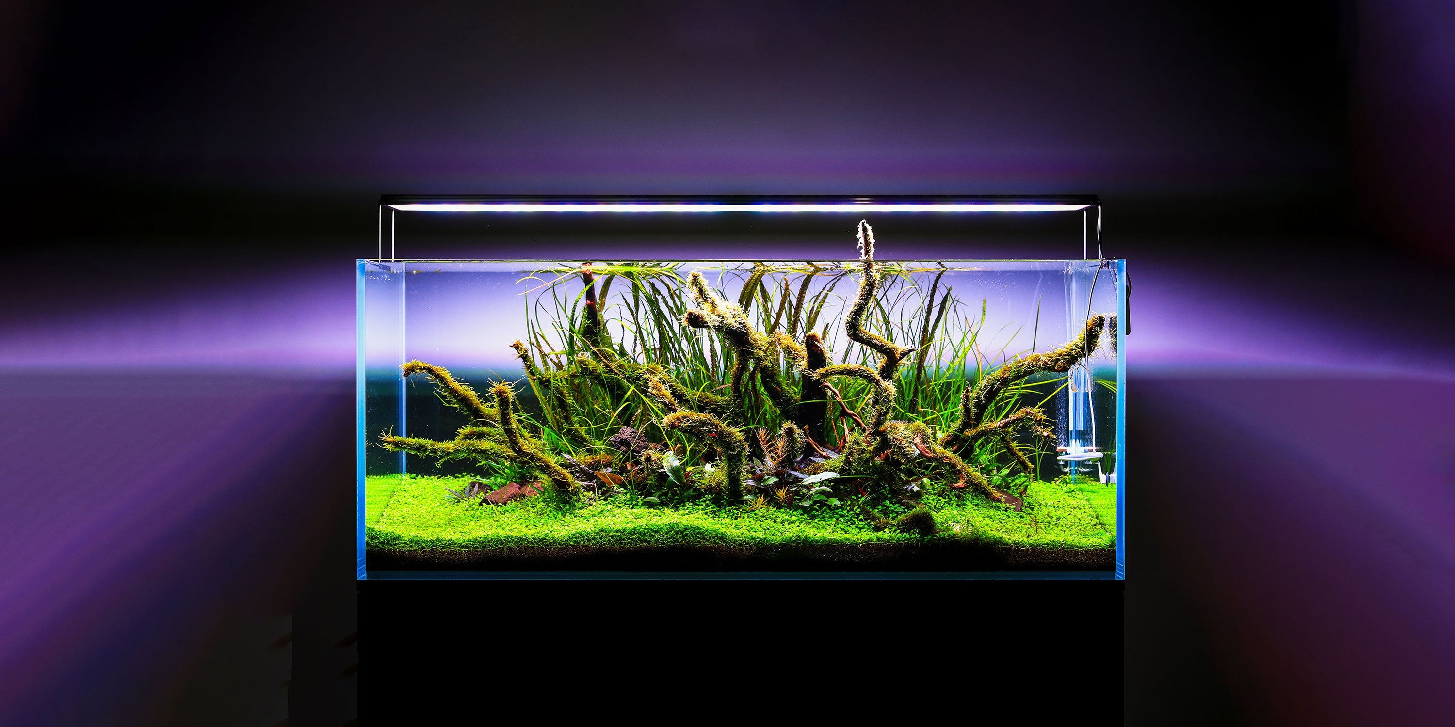Twinstar LED - S Series Vr. V Aquarium Light Fixture — Buce Plant