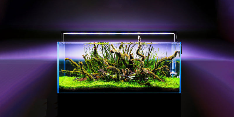 Twinstar LED - S Series Vr. V Aquarium Light Fixture Lighting - Buce Plant