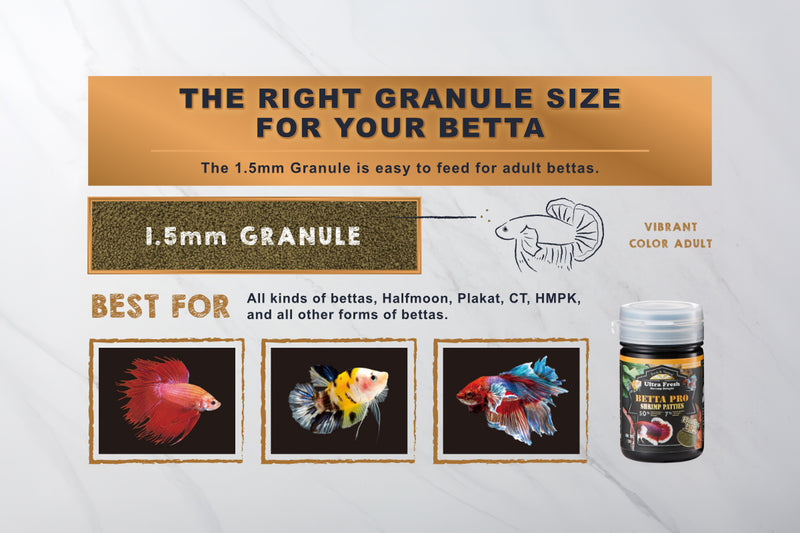Ultra Fresh Betta Pro Shrimp Patties food for aquarium fish, showing the shrimp-based fish food in a clear container.