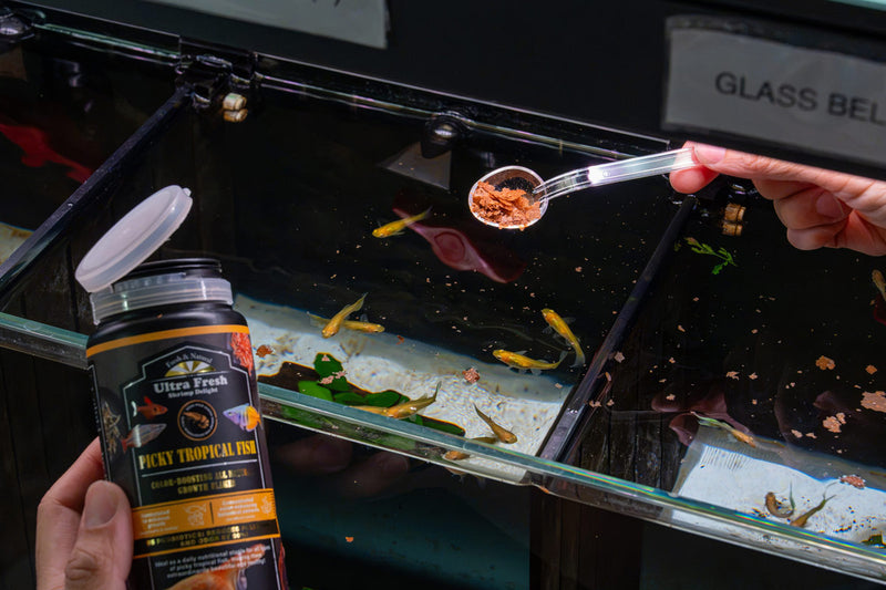 Ultra Fresh Picky Tropical Fish Flakes food in a clear container, designed for feeding tropical aquarium fish.