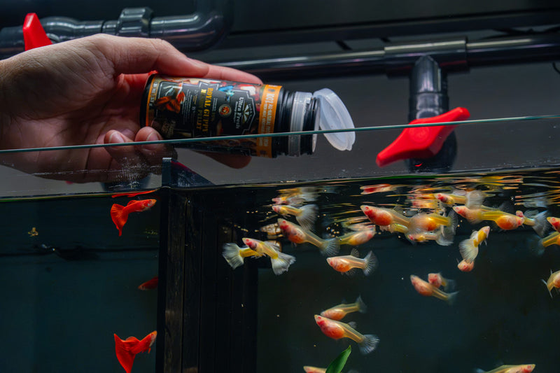 Ultra Fresh Royal Guppy Mignon Pellet fish food in a clear container with pellets visible, designed for small freshwater aquarium fish.