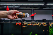 Ultra Fresh Royal Guppy Mignon Pellet fish food in a clear container, designed for small freshwater guppies.