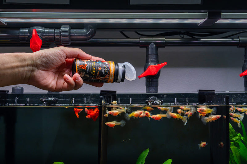 Ultra Fresh Royal Guppy Mignon Pellet fish food in a clear container, designed for small freshwater guppies.