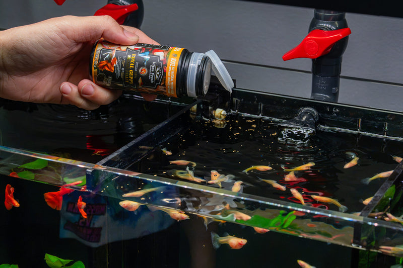 Ultra Fresh Royal Guppy Mignon Pellet fish food in a clear container, designed for small freshwater guppies.