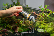Ultra Fresh Tropical Micro Pellet Food - Buce Plant
