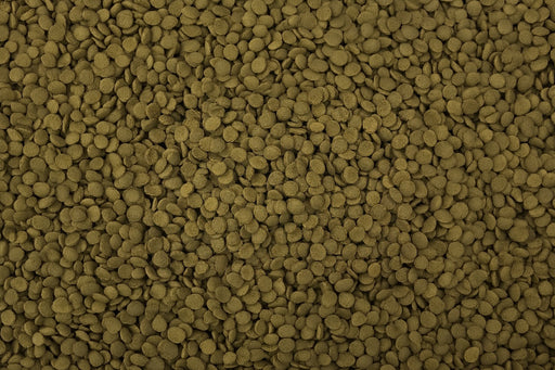 Ultra Fresh Tropical Shrimp Pie