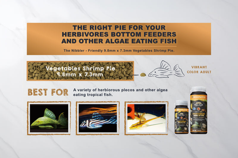 Ultra Fresh Vegetables Shrimp Pie Food - Buce Plant
