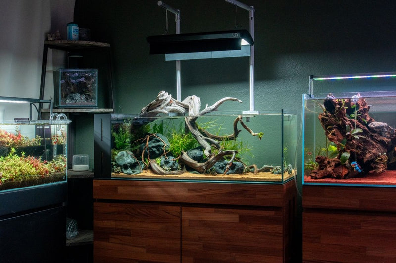 Ultum Nature Systems Titan 1 LED Light Lighting - Buce Plant