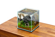 Ultra Clear Rimless Aquarium by Ultum Nature Systems, 1-gallon UNS 16C tank with sleek, transparent glass design for aquatic display.
