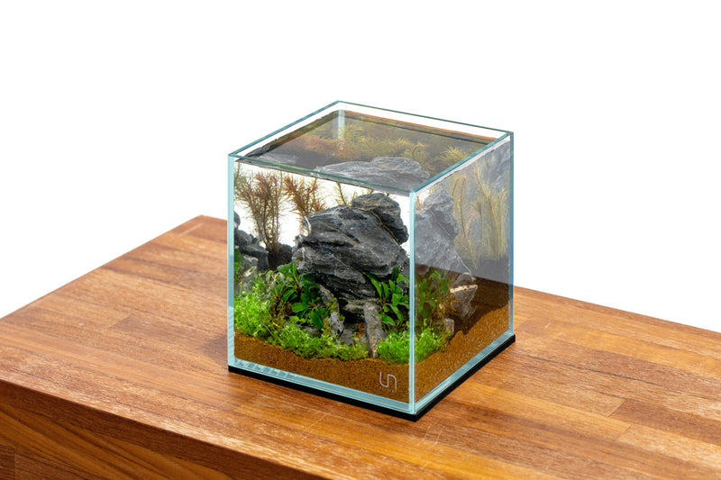 Ultra Clear Rimless Aquarium by Ultum Nature Systems, 1-gallon UNS 16C tank with sleek, transparent glass design for aquatic display.