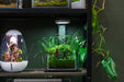 Ultra clear rimless 0.5-gallon aquarium by Ultum Nature Systems, showcasing sleek glass design and minimalist rimless style.