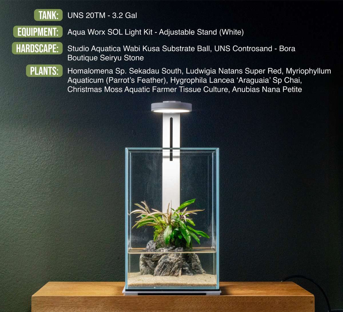 UNS 20TM - 3.2 Gallon Prism Rimless Tank — Buce Plant