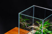 Ultum Nature Systems UNS 20TM 3.2-gallon prism rimless aquatic tank with sleek, clear glass design and seamless edges.