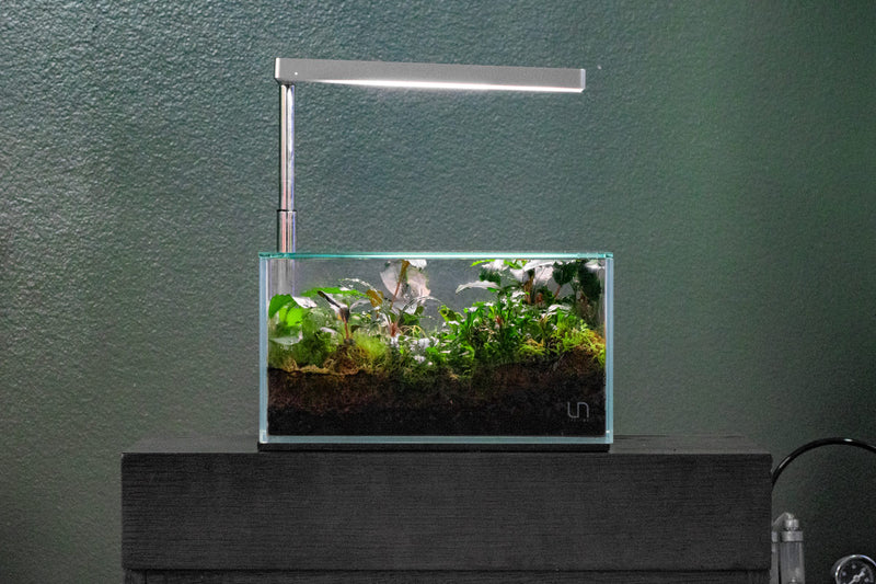 Clear rimless 2.1-gallon aquarium by Ultum Nature Systems, showcasing transparent glass and minimalist design.