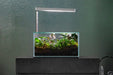 UNS 25S - 2.1 Gallon Ultra Clear Rimless Aquarium